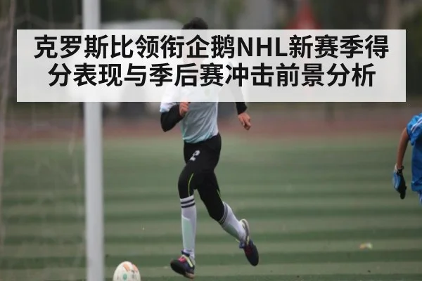 克罗斯比领衔企鹅NHL新赛季得分表现与季后赛冲击前景分析